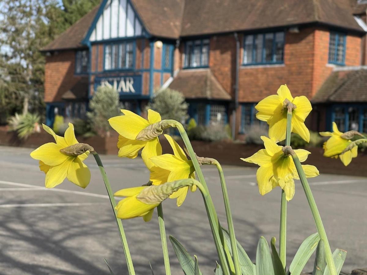 The Star Inn Lingfield Exterior photo