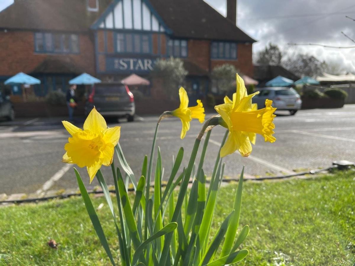 The Star Inn Lingfield Exterior photo