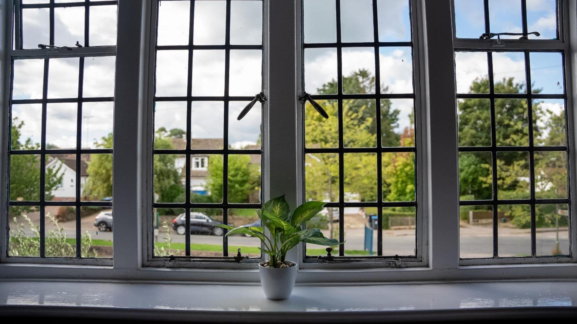 The Star Inn Lingfield Room photo