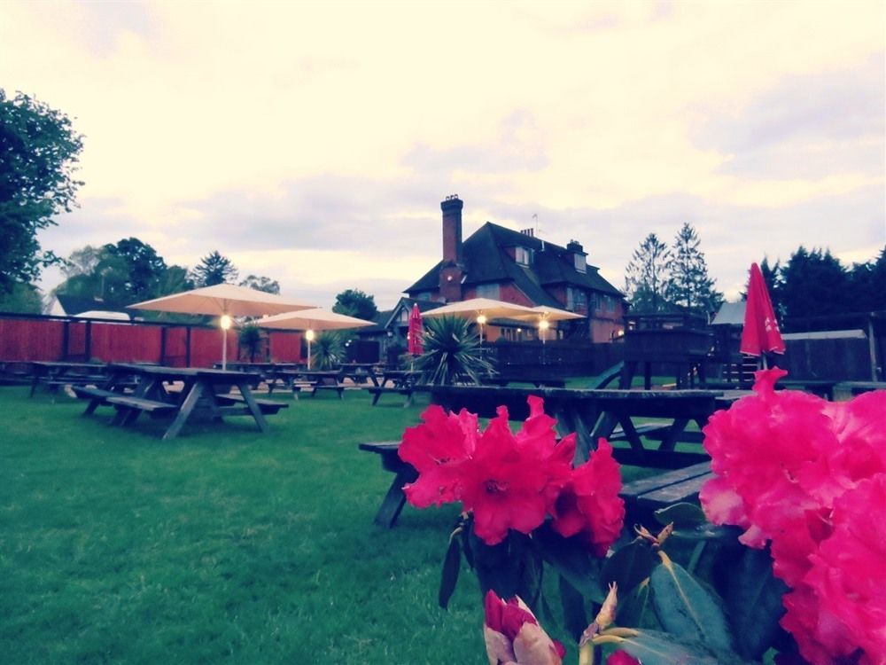 The Star Inn Lingfield Exterior photo